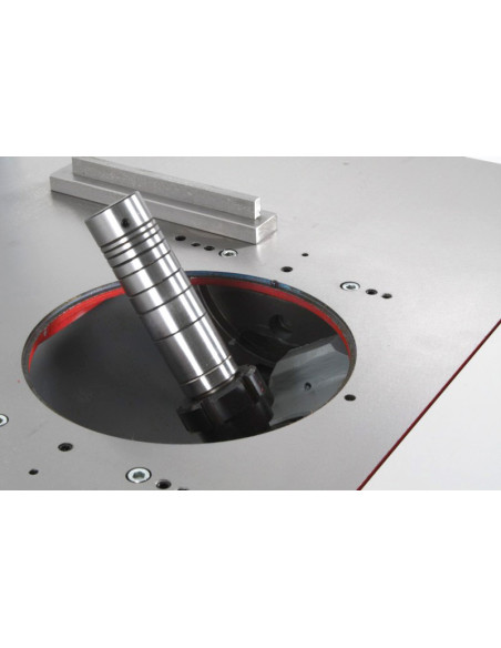 Tupi eje inclinable con carro Holzmann FS200SF